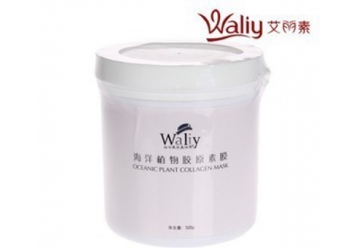 艾丽素 海洋植物胶原素膜500g图片