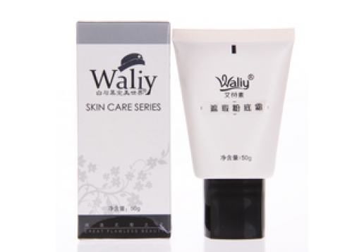 艾丽素 遮瑕粉底霜50g图片
