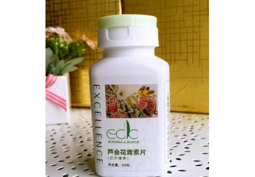爱诗伦思 芦荟花青素片（压片糖果）48粒图片