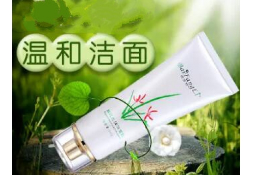 白芳丽 细腻水润洁面乳100g图片