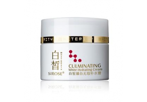 白皙 健康美白臻白无瑕补水霜50g图片