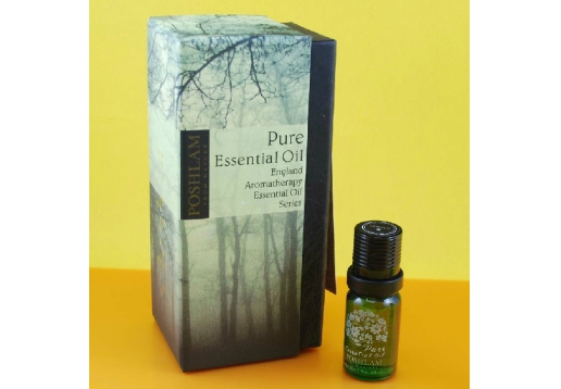 宝琪兰 姜精油10ml图片