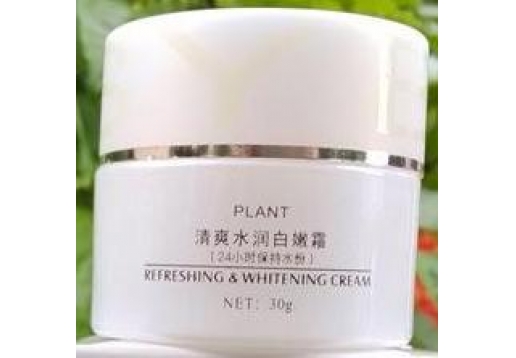 贝迪斯 清爽水润白嫩霜30g图片