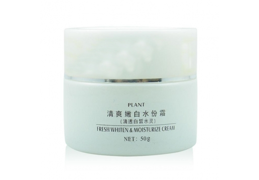 贝迪斯 清爽嫩白水份霜50g图片