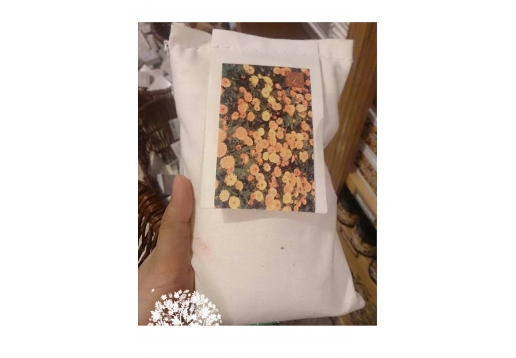 菠丹妮 金盏花精油舒敏浴盐500g图片