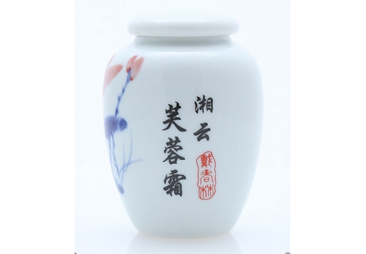 戴春林 湘云芙蓉霜60g图片