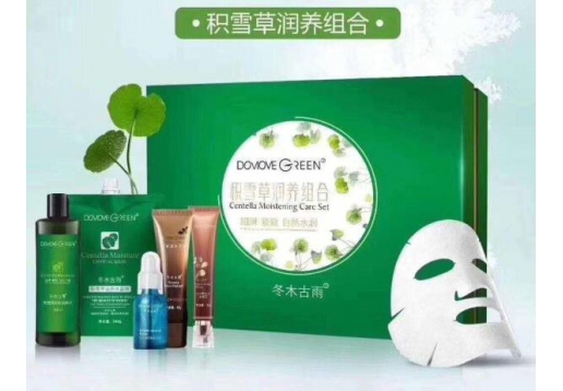 冬木古雨  积雪草润养组合图片