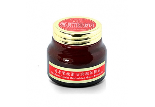 梵洁诗 乳木果丝滑莹润摩丝粉底30g图片