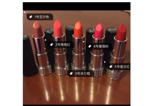 梵婕缇 5色彩妆口红3g图片