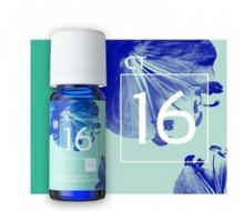 肯园 玩家系列纯精油CT16 10ML
