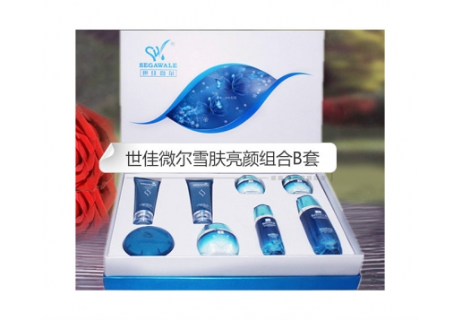 世佳微尔 雪肤亮颜组合B套8件套图片