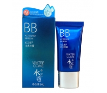 水之蔻 出水BB霜30g