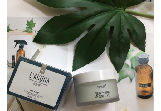 娅梵琦 臻效水份霜50g图片